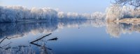 Raureif am Mühlsee (Neufahrn)