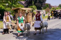 Historischer Festzug „Wanderschäferinnen“