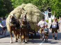 Historischer Festzug „S'letzte Heu mit Ochs“